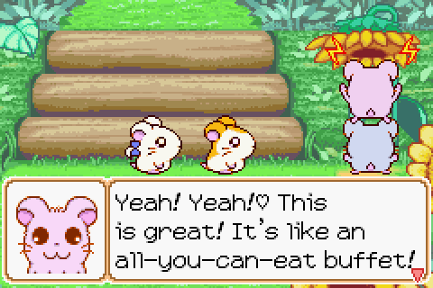 Hamtaro ham online ham heartbreak switch